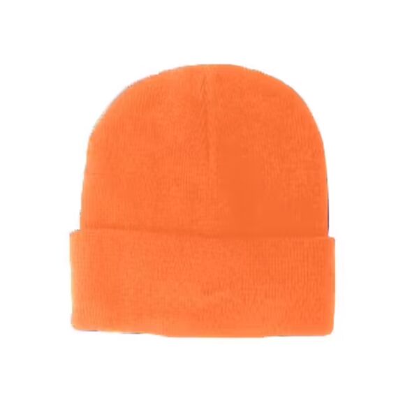 PVT LB CUFF BEANIE CAP Thumbnail